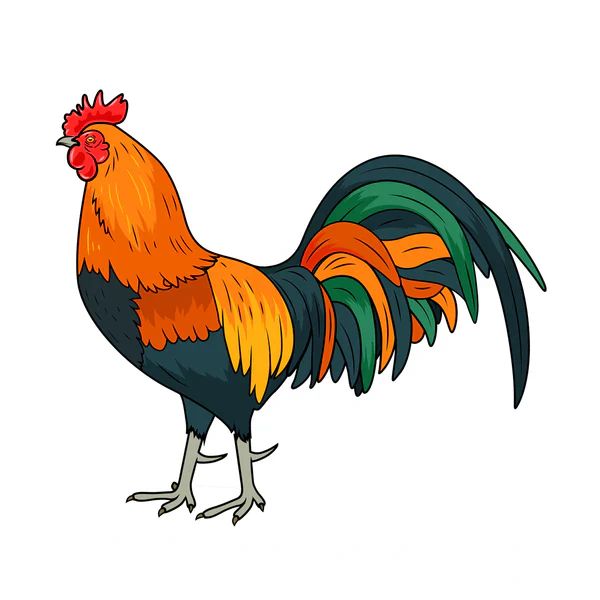 ROOSTER BAMBOO STICKER